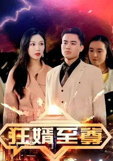 狂婿至尊