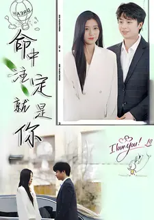 命中注定就是你