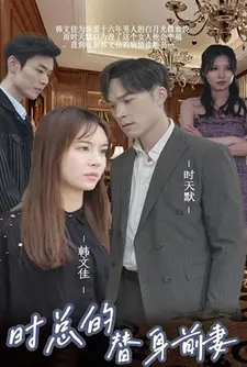 时总的替身前妻