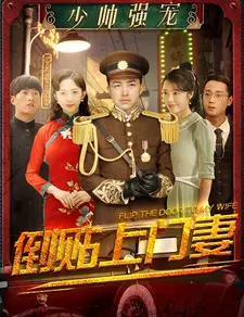 少帅强宠:倒贴上门妻