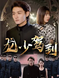 龙少驾到
