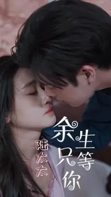 陆太太,余生只等你