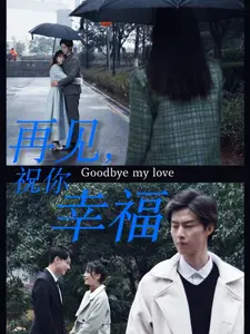 再见,祝你幸福