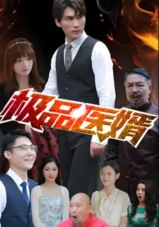 极品医婿