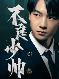 不良少帅