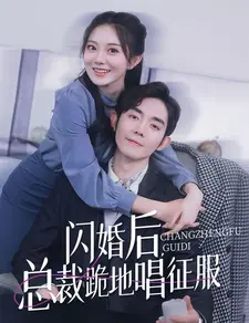 闪婚后,总裁跪地唱征服