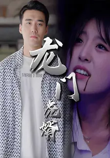 龙门虎婿