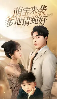 萌宝回归记