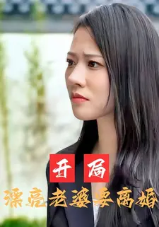 开局漂亮老婆要离婚