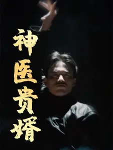 神医贵婿