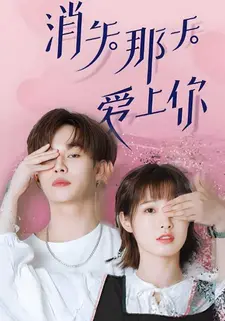 消失那天爱上你