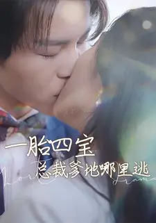 一胎四宝：总裁爹地哪里逃
