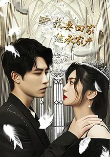 我要回家继承家产