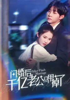 闪婚后千亿老公马甲掉了