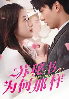 苏秘书为何那样
