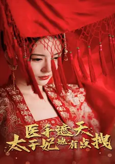 医手遮天，太子妃她有点拽