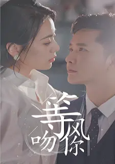 等风吻你