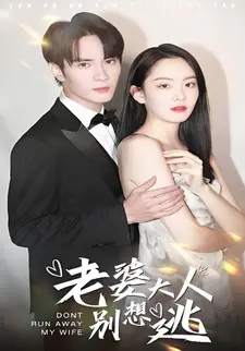 老婆大人别想逃