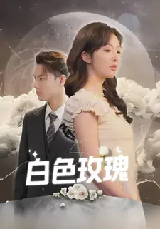 白色玫瑰