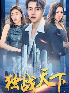 独战天下