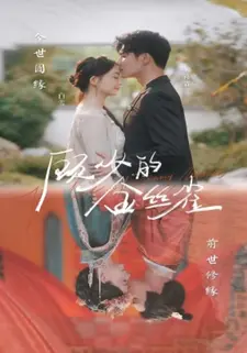顾少的金丝雀