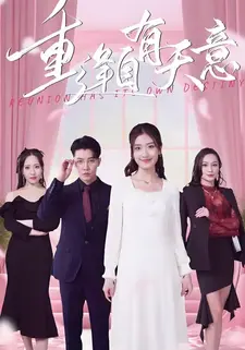 重逢自有天意