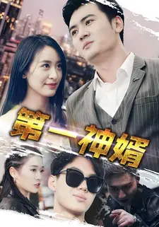 第一神婿