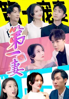 第一宠妻