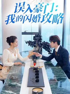 误入豪门:我的闪婚攻略