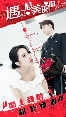 恋上我的机长娇妻