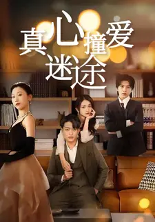 真心撞爱迷途
