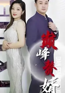 巅峰赘婿