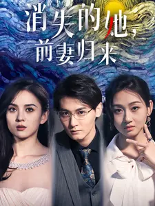 消失的她,前妻归来