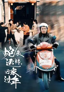 蛇来运转,回家过年