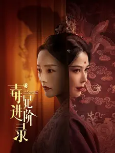 毒妃进阶录