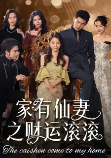 家有仙妻之财运滚滚