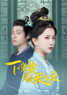 下堂妻竟是长公主