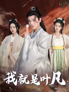 我就是叶凡