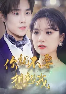 你就不要想起我