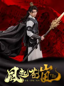 风起苍岚