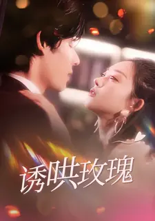 诱哄玫瑰