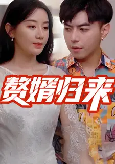 赘婿归来
