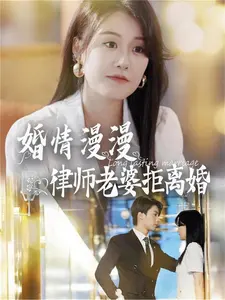 婚情漫漫:律师老婆拒离婚