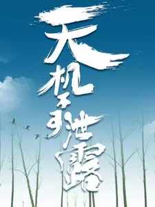 天机不可泄露
