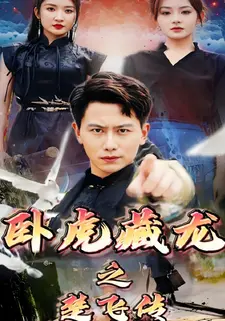卧虎藏龙之楚飞传