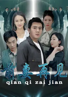 前妻再见