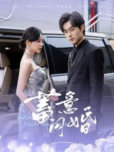 蓄意闪婚