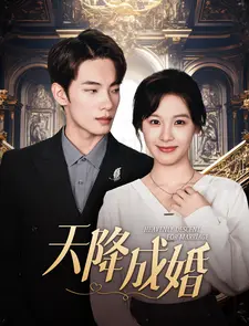 天降成婚