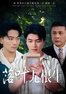 落叶无根生