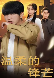 温柔的锋芒